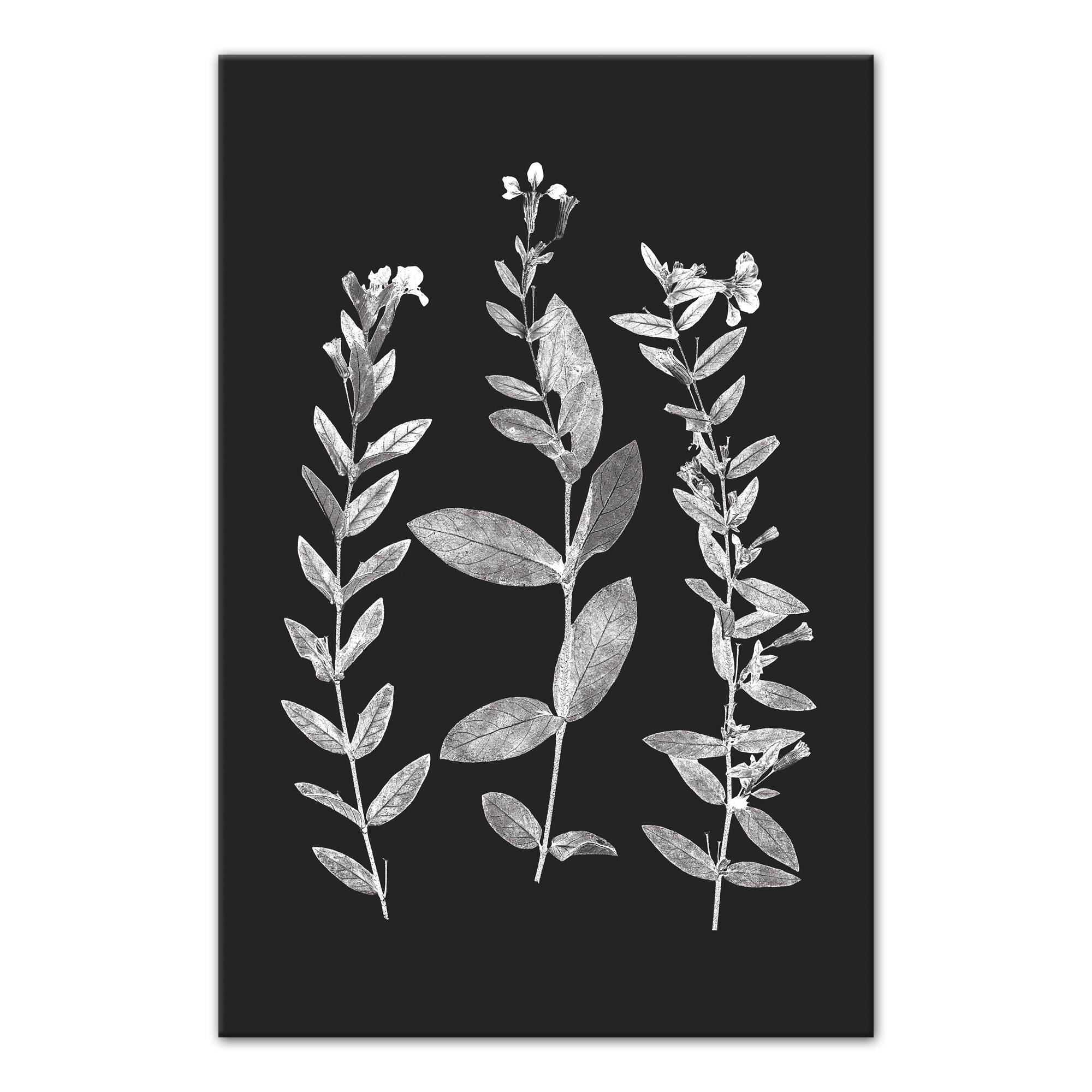 Designs Direct Pressed Flowers Canvas Wall Art